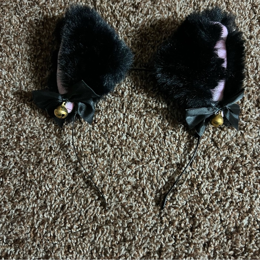 Furry Kitty Cat Ears